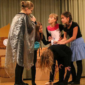 Froschgoscherl Theater 2016